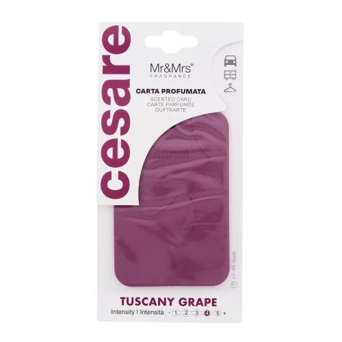 Mr & Mrs Fragrance Cesare Scented Card Tuscany Grape osvežilci za vozilo Cene