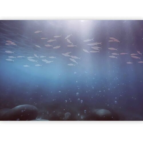 Foto tapeta - Fish in the depths 350x256 Vodootporna Cene