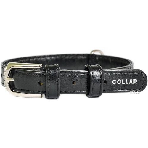 CLR WD 25 cm -Ogrlica za pse 19 Cene