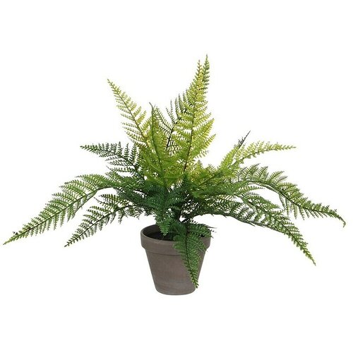  Umetna rastlina Praprot (Vi&scaron;ina: 40 cm, Plastika) Cene