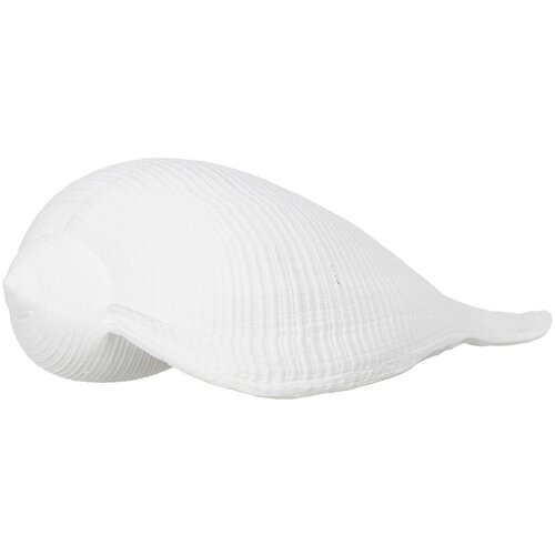 Ixia Kipić od polyresina (visina 5 cm) Seashell – Cijene
