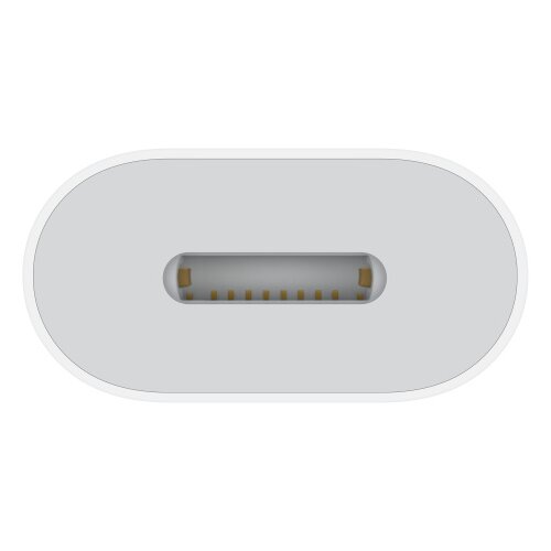 Apple Lightning to USB Cable (1 m) Slike