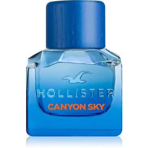 Hollister Canyon Sky For Him toaletna voda za moške 30 ml Cene