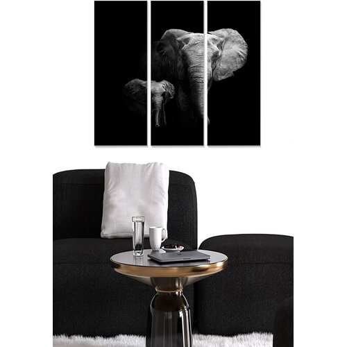 Wallity Set slika MDF171071117, 3 dijela Cijene