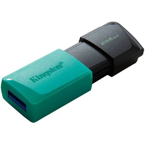 MEM UFD 256GB DTXM KIN Cijene