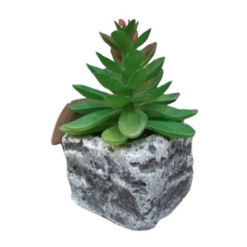 Dekordom cvet u saksiji - succulent round 123 - N44 Cene