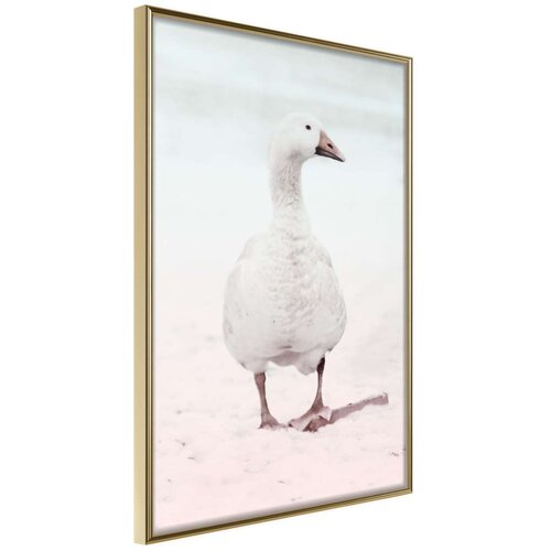  Poster - Walking Goose 20x30 Slike