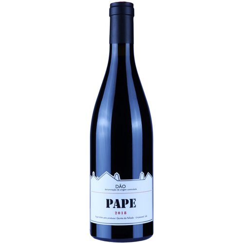Alvaro Castro pape Cene
