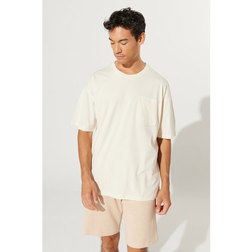 ALTINYILDIZ CLASSICS men's ecru oversize fit wide-fit crew neck 100% cotton t-shirt Slike