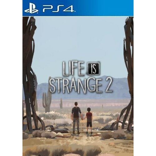 PS4 / PSN Life is Strange 2 - Episode 5 (DLC) (PS4) PSN Key EUROPE Cene