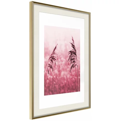  Poster - Amaranth Meadow 20x30