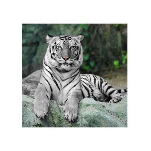  CT-5122 multicolor bathmat set (2 pieces) Slike