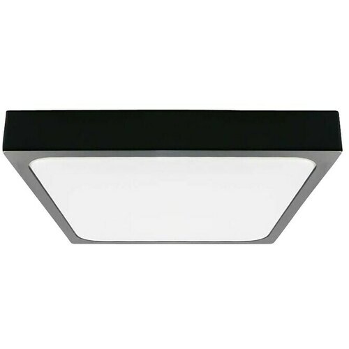  Stropna svjetiljka (18 W, D x Š x V: 225 x 225 x 60 mm, Crna, Boja svjetla: Hladna bijela) Cijene