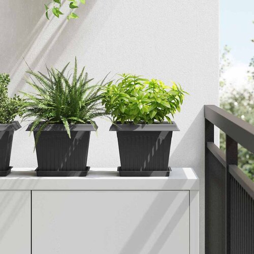  Saksije za biljke 24 pcs Crna 23 x 23 x 17,5 cm Plastika Cijene