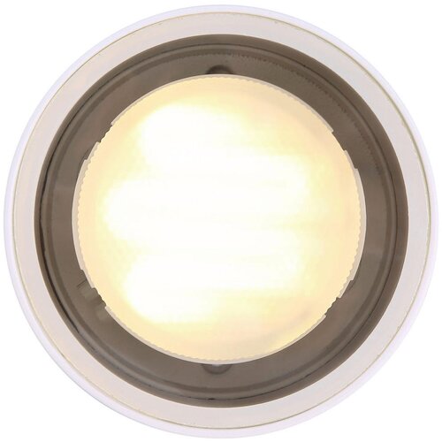 Globo 32063W - Spolja&amp;scaron;nje plafonsko svetlo ALCALA 1xGX53/11W/230V IP44 Slike