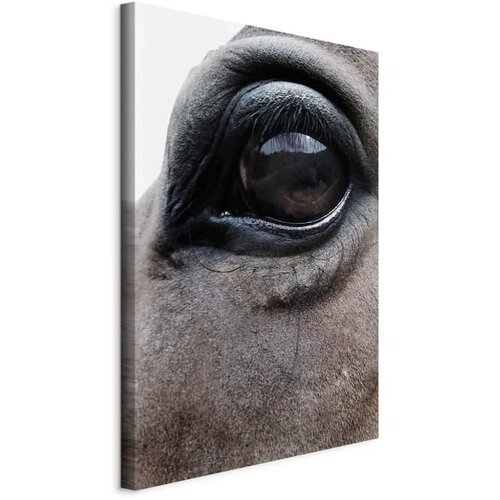  Slika - Honest Eyes (1 Part) Vertical 40x60 Standard Cene