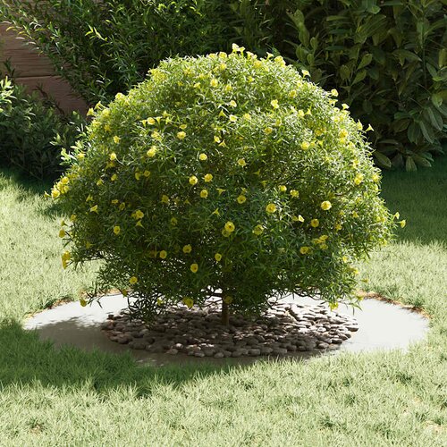  Pogodno za ravne drvene prstenove 5 pcs Bijelo &amp;Oslash;50 / 80 cm Čelik Slike