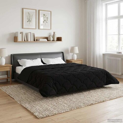  Zimska pokrivača Crna 200 x 220 cm Mikrofibra i teddy flis Cijene