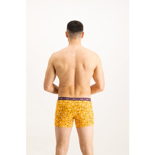 Frogies Men's boxers Zodiac Lav Cene