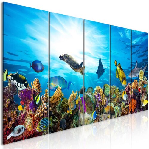  Slika - Coral Reef (5 Parts) Narrow 225x90 Slike
