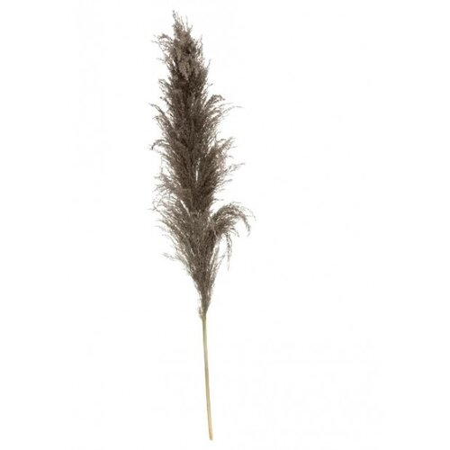 Atmosphera umjetna trava pampas H110 Cijene