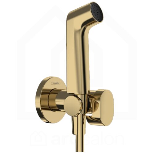 Hansgrohe EcoSmart higijenski tuš za toplu vodu sa držačem za tuš i tuš crevom zlatna 29232990 Cene