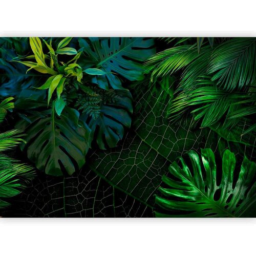 Artgeist Fototapeta Tropical, Zelena Cene