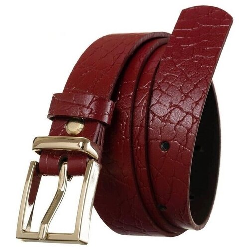 Rovicky ZPDZ25GK34054 Bordo Cene
