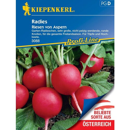  Redkev "Riesen von Aspern" - 1 pkt. Cene