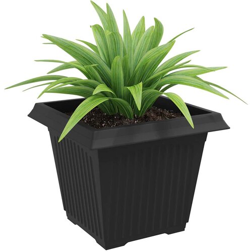  Kvadratna saksija za cvijeće 6 pcs Crna 43 x 43 x 33,5 cm Slike