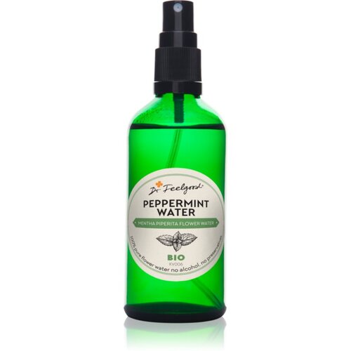Dr. Feelgood BIO Peppermint pomirjajoča cvetlična voda z meto 100 ml Cene