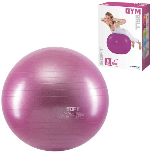  Gimnastička lopta Gym Soft 55 cm Slike