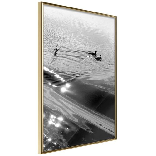  Poster - Texture of Water 40x60 Cijene