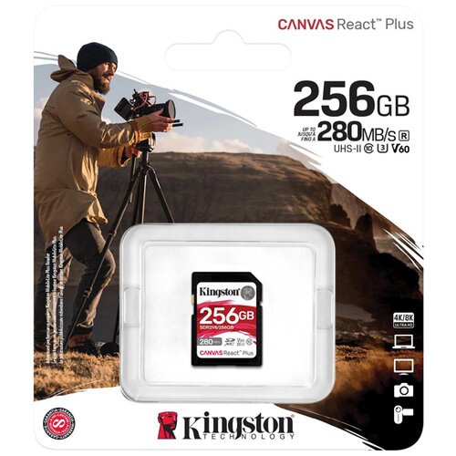Kingston memorijska kartica SDR2V6/256GB 256GB Cene