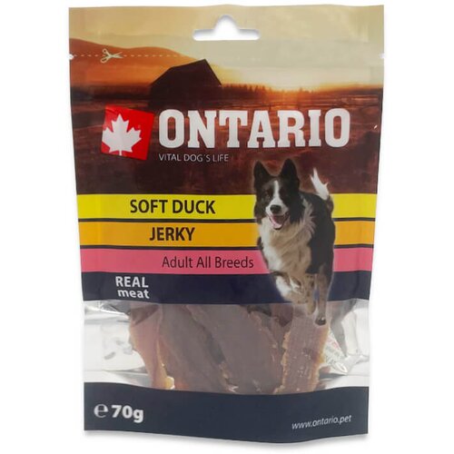 Ontario Snack Soft Raca Jerky - 70 g Cene
