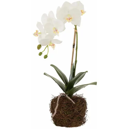 J-Line Umjetna biljka Orchid In Soil