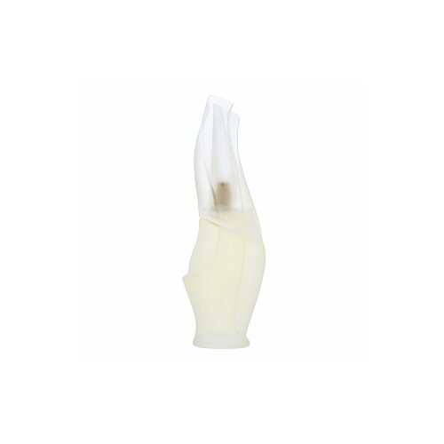 Dkny Cashmere Mist toaletna voda za žene 50 ml Cijene