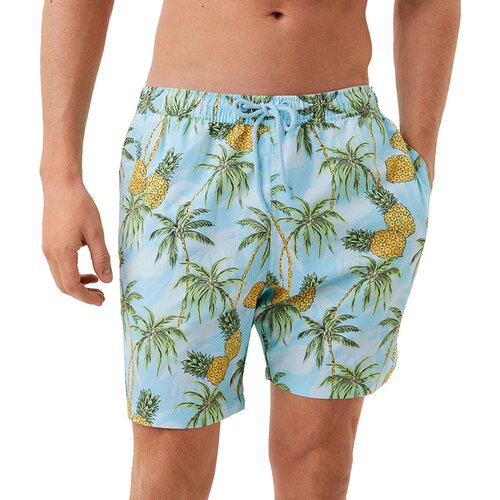 Bjorn Borg muške Loose Sylvester kupaće kratke hlače Cijene