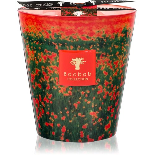 Baobab Collection Arty Flowers Poppies mirisna svijeća 1000 g Slike
