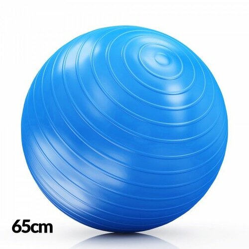 df lopta za pilates 65cm plava Cene