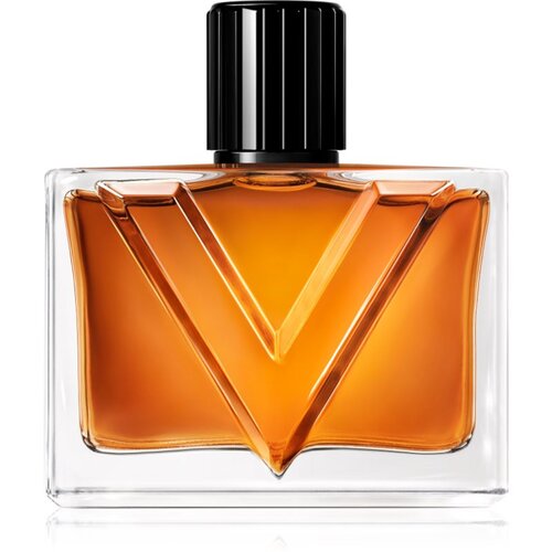 Valentino Vendetta Uomo parfemska voda za mu&scaron;karce 90 ml Cijene