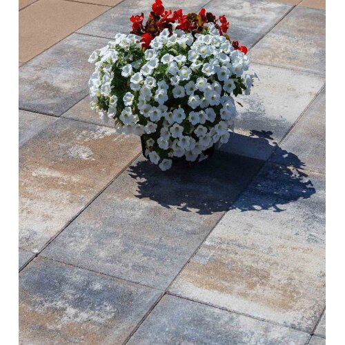 Semmelrock Ploča betonska ELEGANT 60x30x3,8cm Lava Siva 61828734 Slike