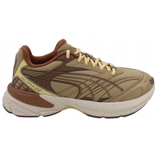 Puma Velophasis sarena Slike