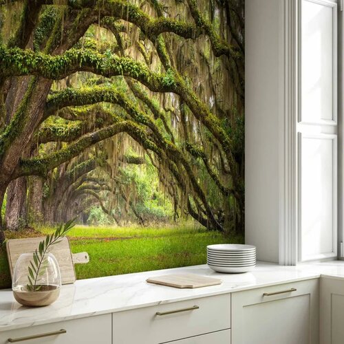  Foto tapeta - Tree embrace 400x280 Cene