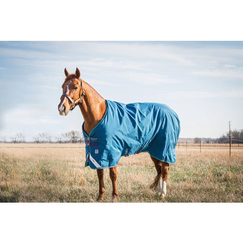 Horseware Ireland Pregrinjalo Rhino Turnout 100 g, Navy/Grey, Aqua & Grey - 140 cm Cene