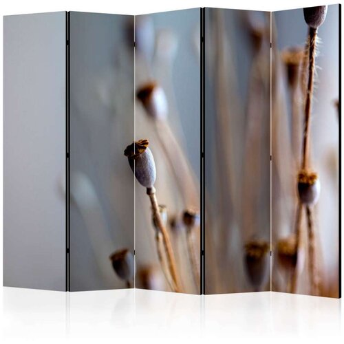  Paravan u 5 dijelova - Poppy heads II [Room Dividers] 225x172 Slike