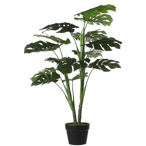 XXXL Umjetna biljka Monstera (&amp;Oslash; x V: 70 x 100 cm, Zelene boje, Plastika) Slike