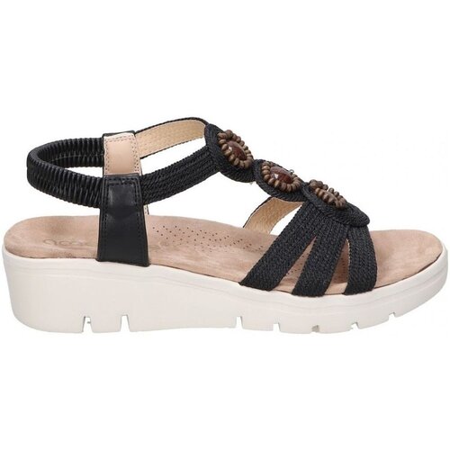 Amarpies ABZ26556 Crna Cene