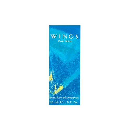 Giorgio Beverly Hills Wings for Men toaletna voda za mu&amp;scaron;karce 30 ml Slike
