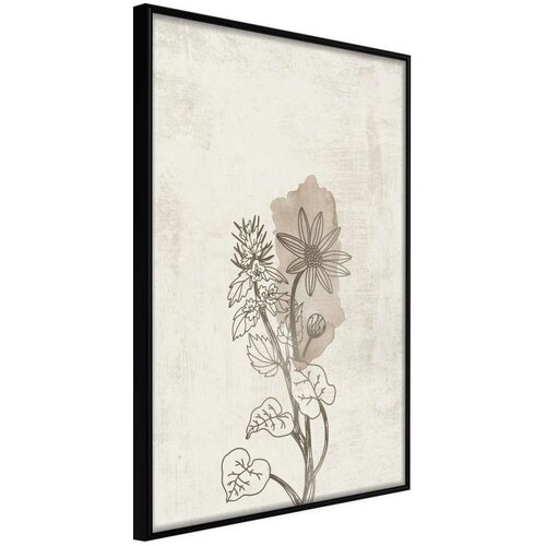  Poster - Life of Plants 40x60 Slike